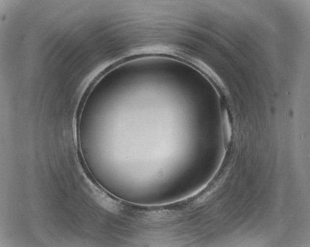 X0000080200988200612081423