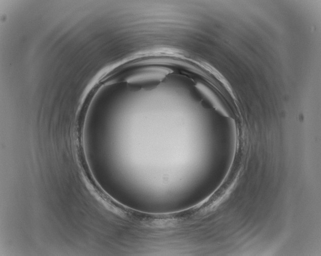 X0000080200989200612081423