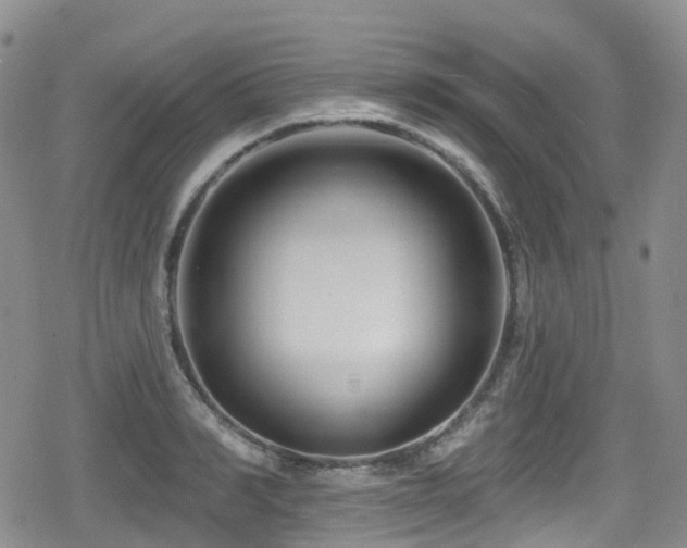 X0000080200990200612081423