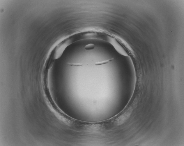 X0000080200991200612081423