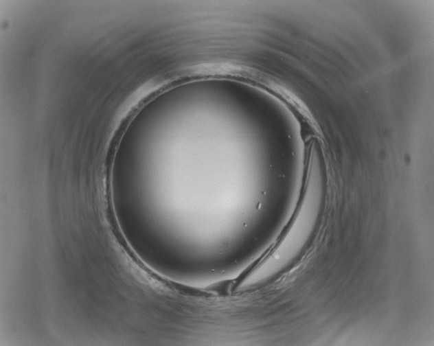 X0000080200992200612081423