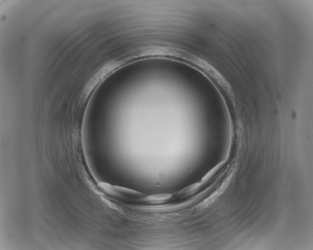 X0000080200993200612081423