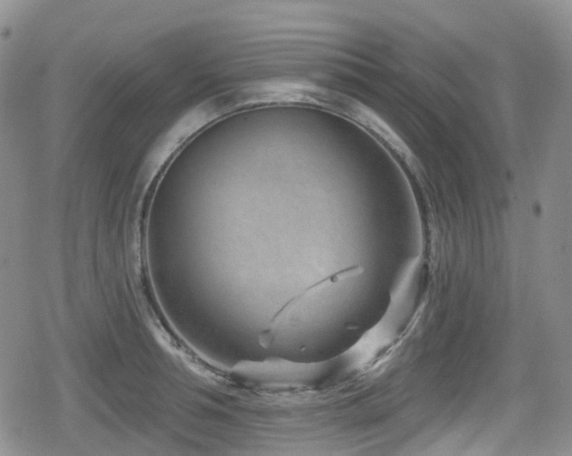 X0000080200994200612081423