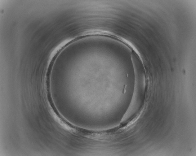 X0000080200995200612081423