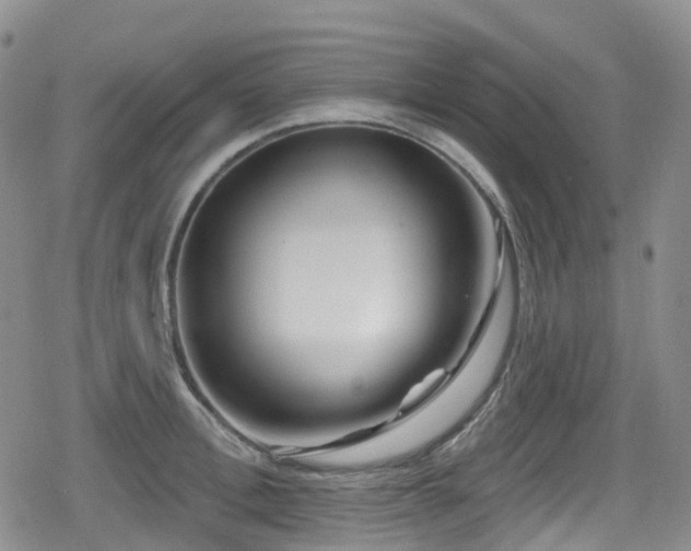 X0000080200996200612081423