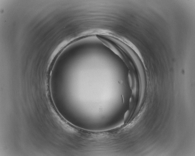 X0000080200997200612081423