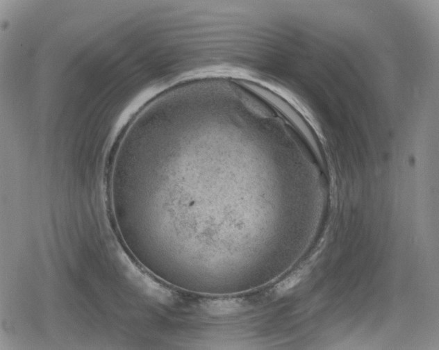 X0000080200998200612081423