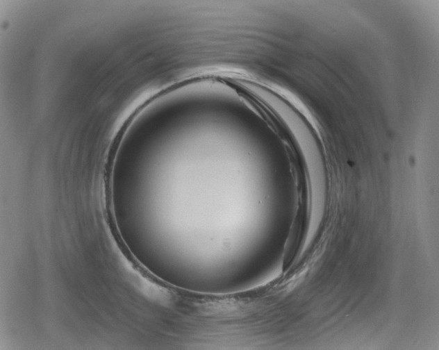 X0000080200999200612081423