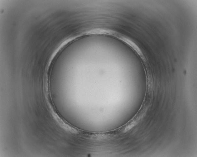 X0000080201000200612081423