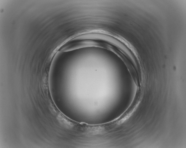 X0000080201001200612081423