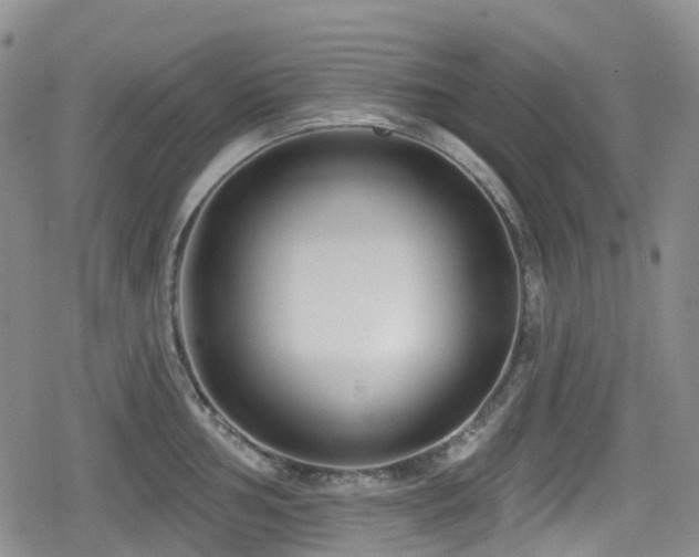 X0000080201002200612081423