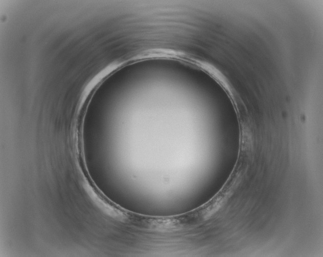 X0000080201003200612081422