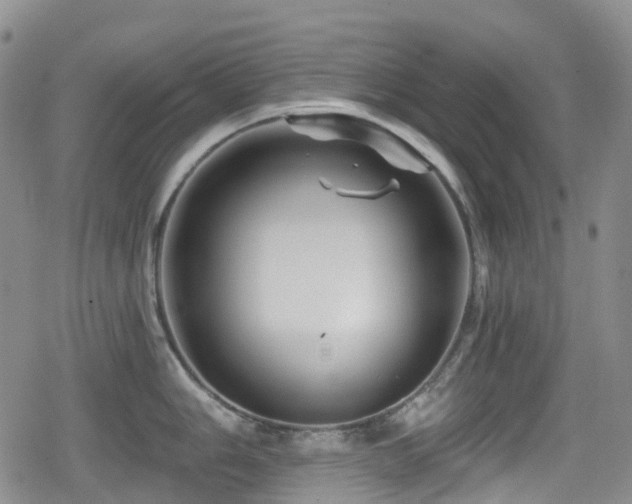 X0000080201006200612081422