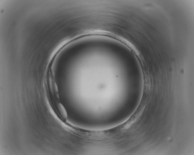 X0000080201007200612081422