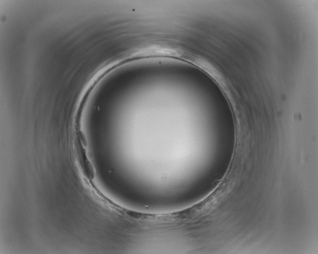 X0000080201008200612081422