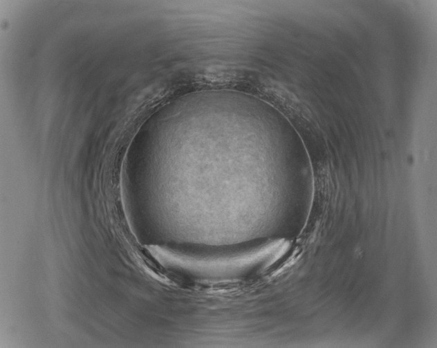 X0000080201009200612081422