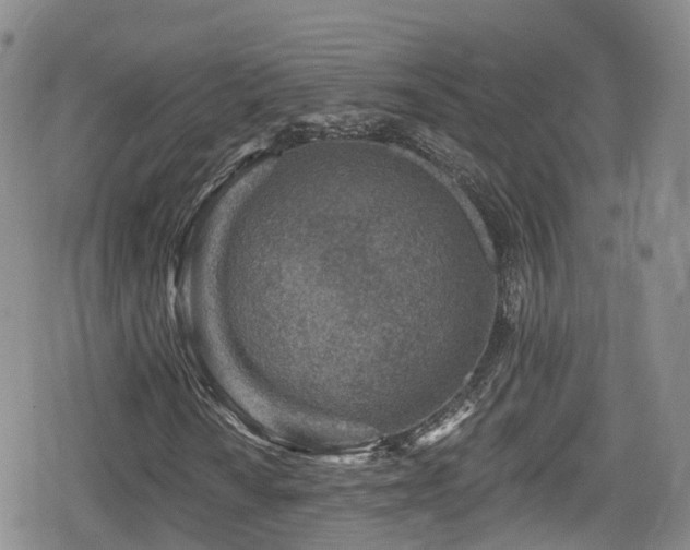 X0000080201010200612081422