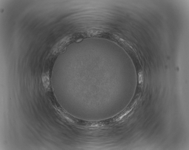 X0000080201011200612081422