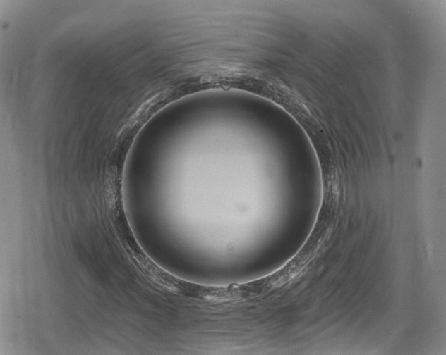 X0000080201012200612081422