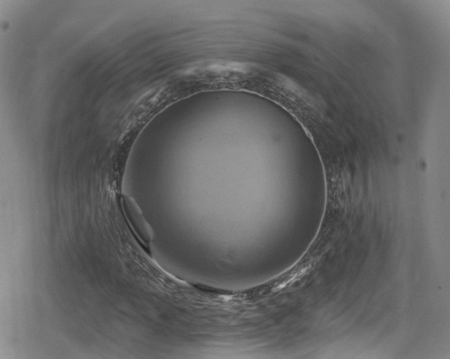 X0000080201013200612081422