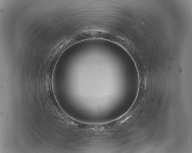 X0000080201014200612081422