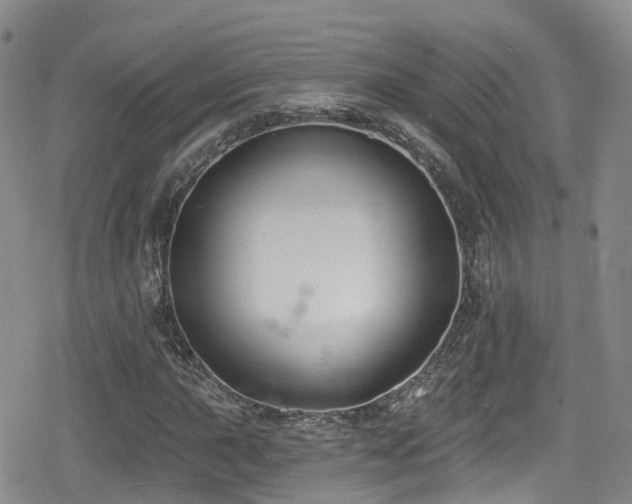 X0000080201015200612081422