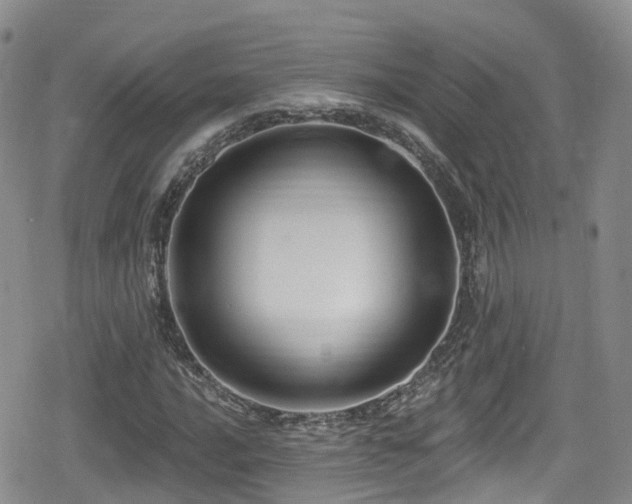 X0000080201016200612081422