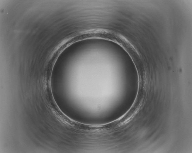 X0000080201017200612081422