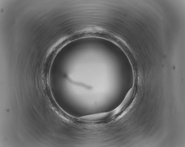 X0000080201018200612081422