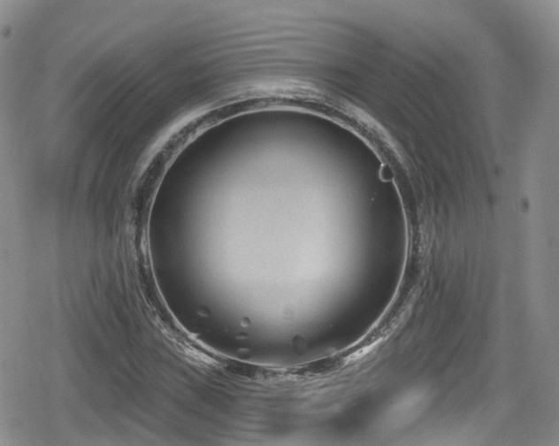 X0000080201019200612081422