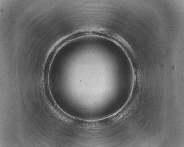 X0000080201020200612081422