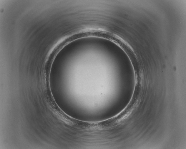 X0000080201021200612081422