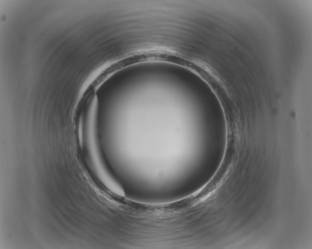 X0000080201022200612081422