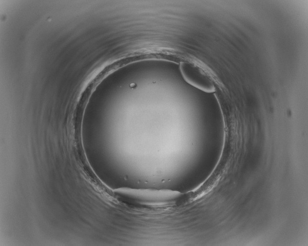 X0000080201023200612081422