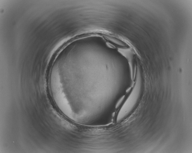 X0000080201024200612081422