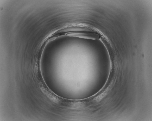 X0000080201025200612081422