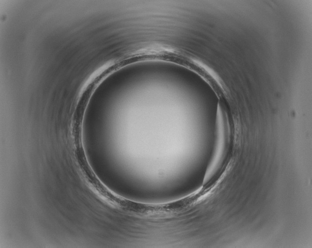 X0000080201026200612081422