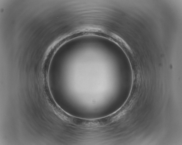 X0000080201027200612081422