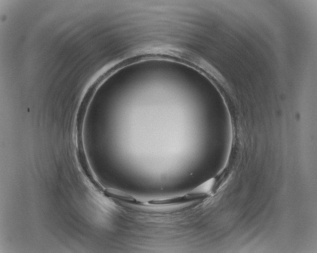 X0000080201028200612081422