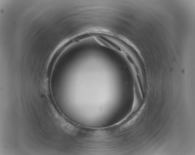 X0000080201029200612081422