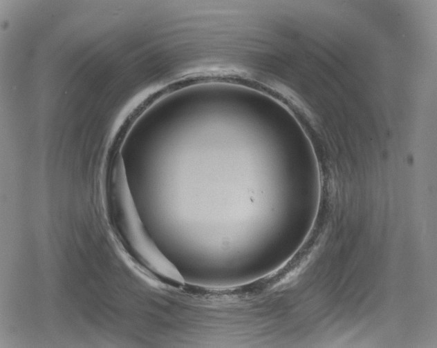 X0000080201030200612081422