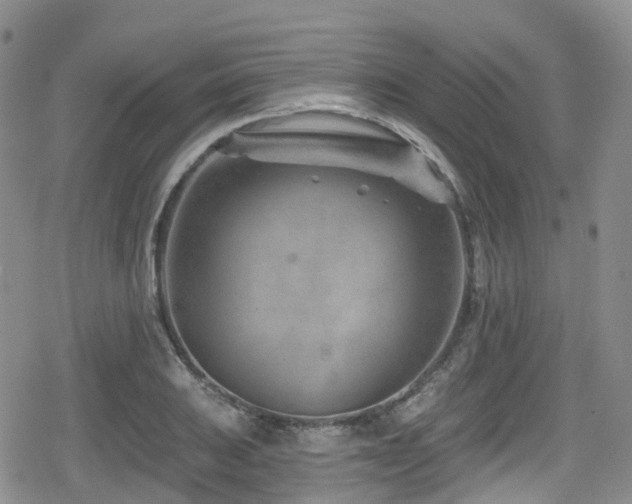 X0000080201031200612081422