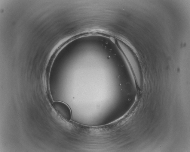 X0000080201032200612081422