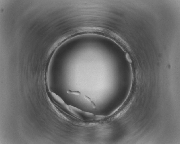 X0000080201033200612081422