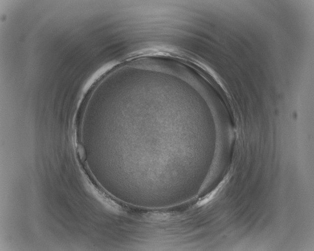 X0000080201034200612081422