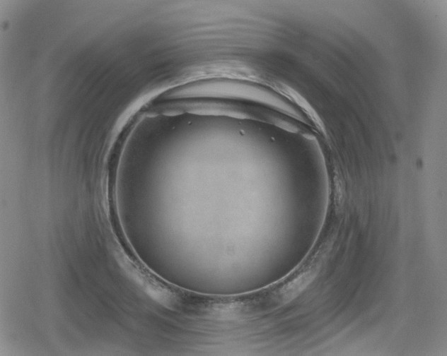 X0000080201035200612081422