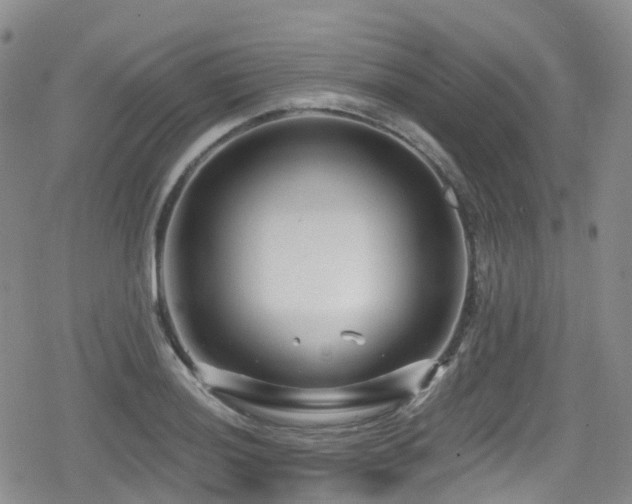 X0000080201036200612081422