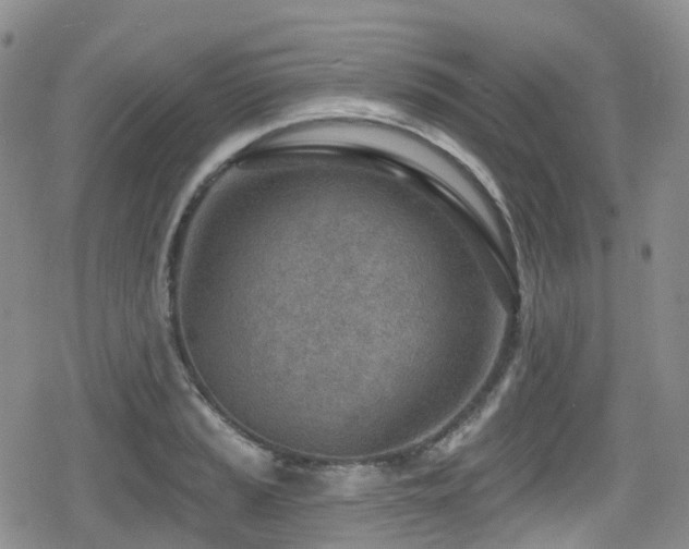 X0000080201037200612081422