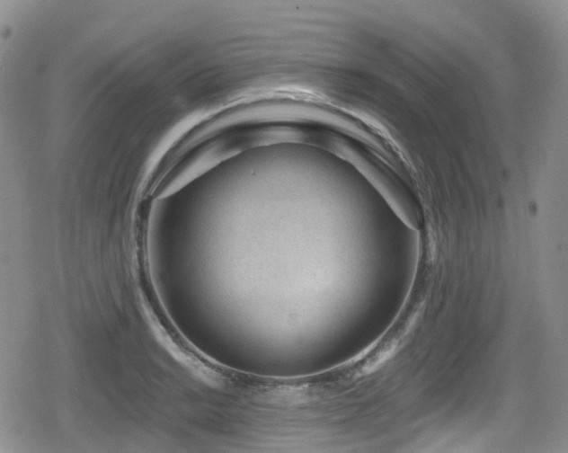 X0000080201038200612081422