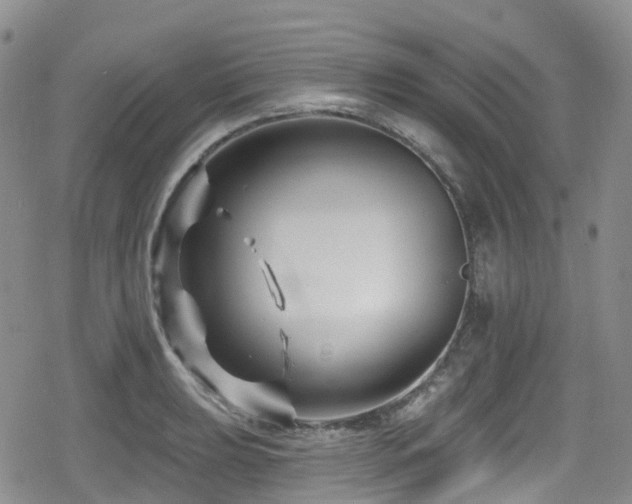 X0000080201039200612081422